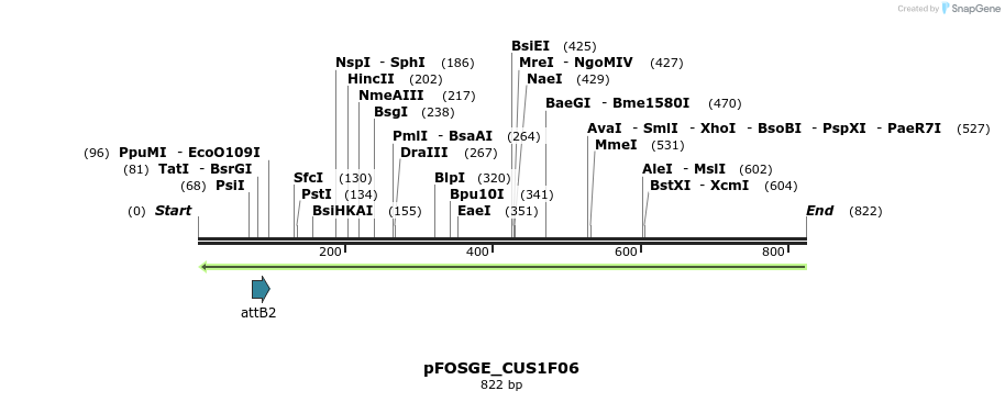130992_map