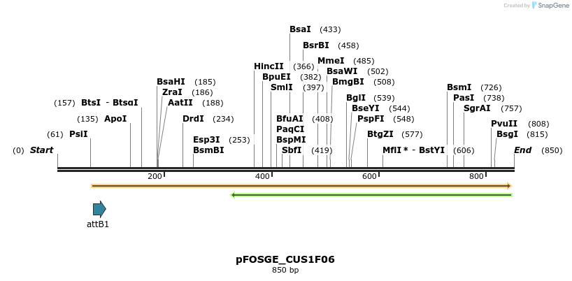 130993_map