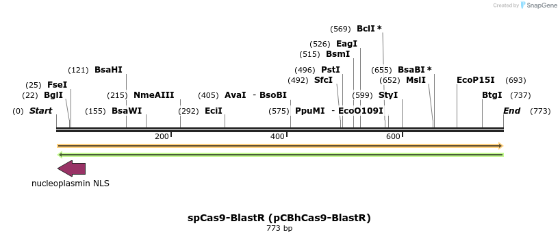 130995_map