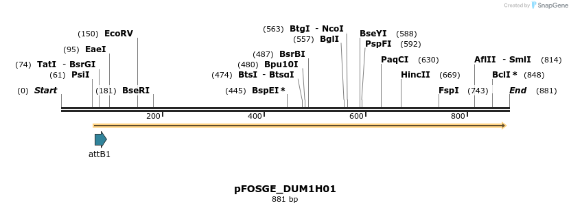 130996_map