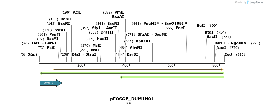 130998_map