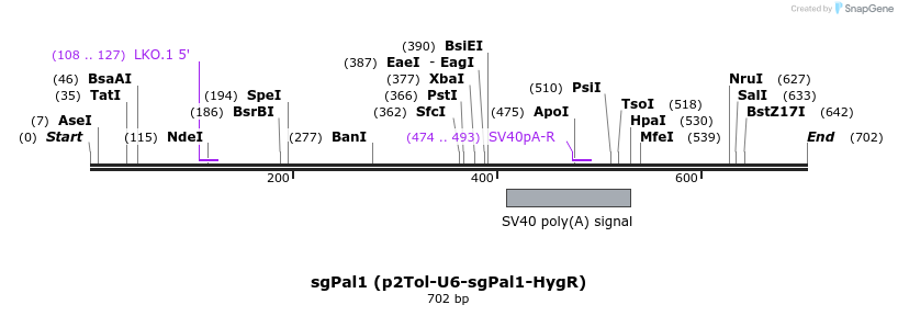 131002_map