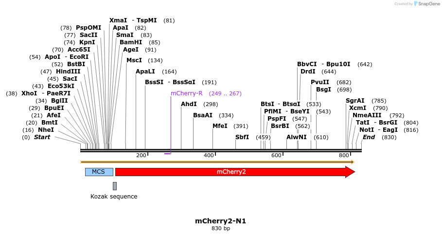 131003_map