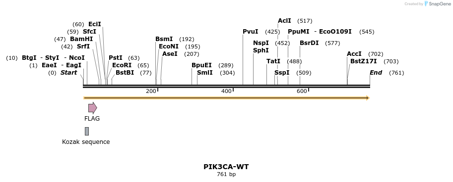 131005_map