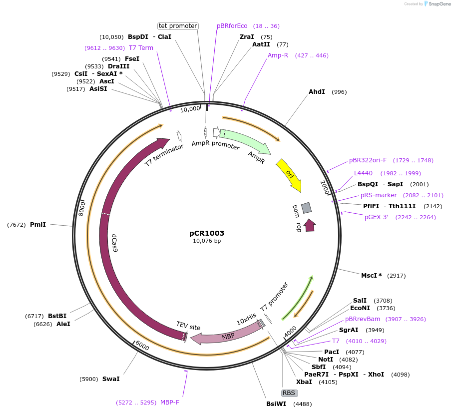 131020_map