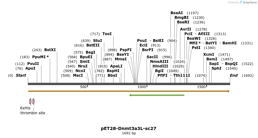 131022_map