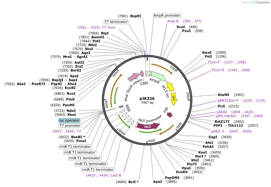 131027_map