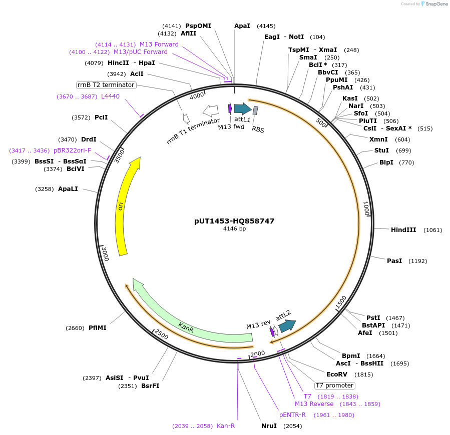 13103_map
