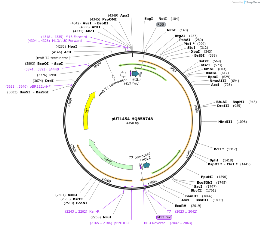 13104_map