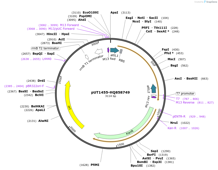 13105_map