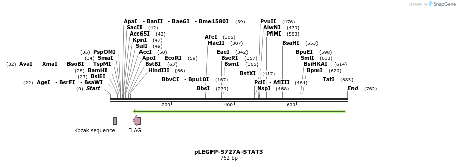 131056_map