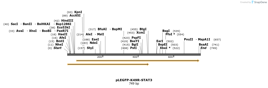131058_map