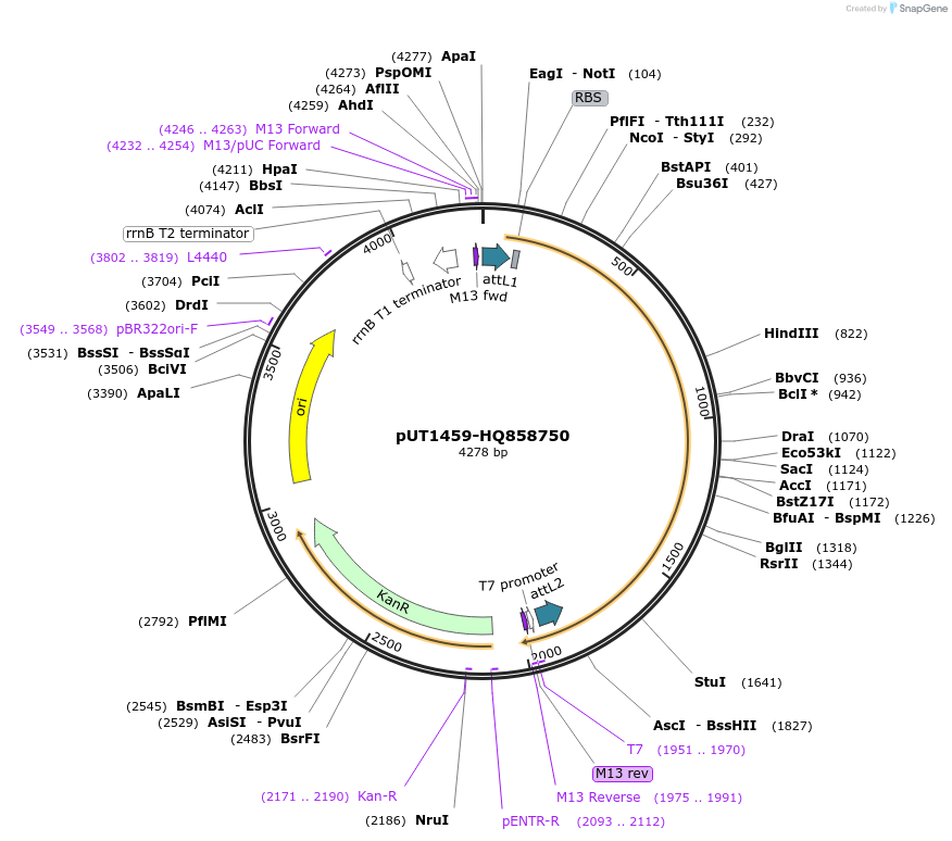 13106_map