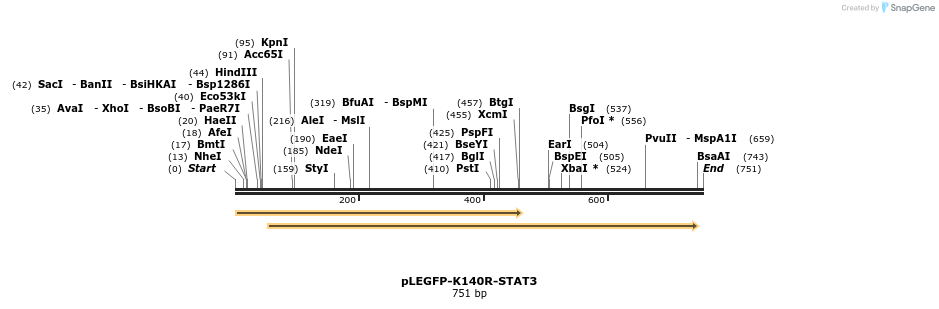 131060_map