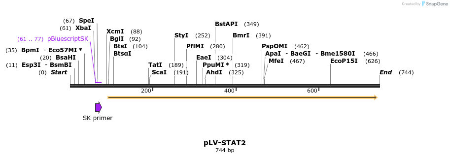 131069_map