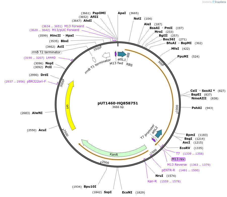 13107_map