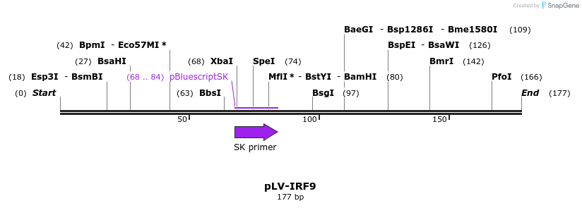 131073_map
