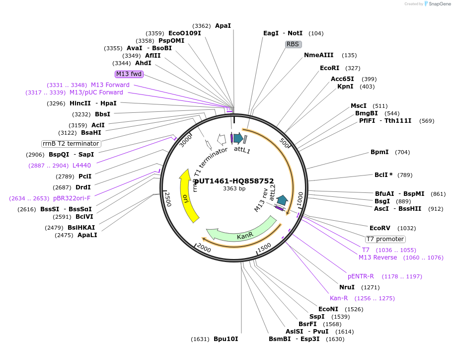 13108_map
