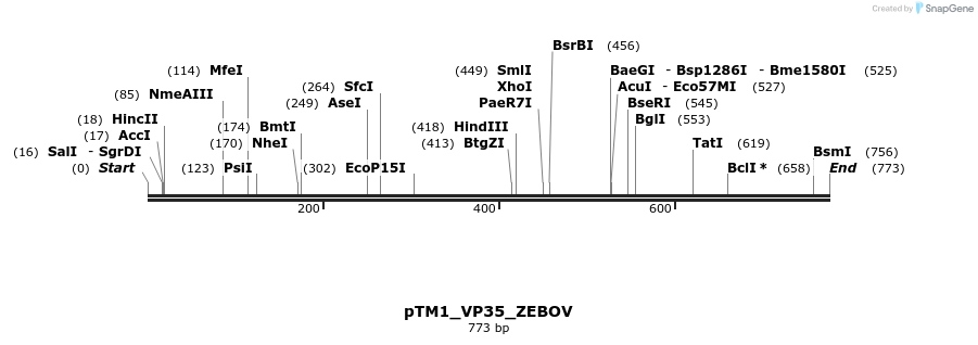 131085_map
