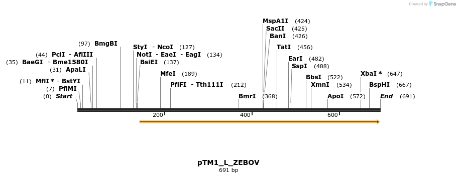 131088_map