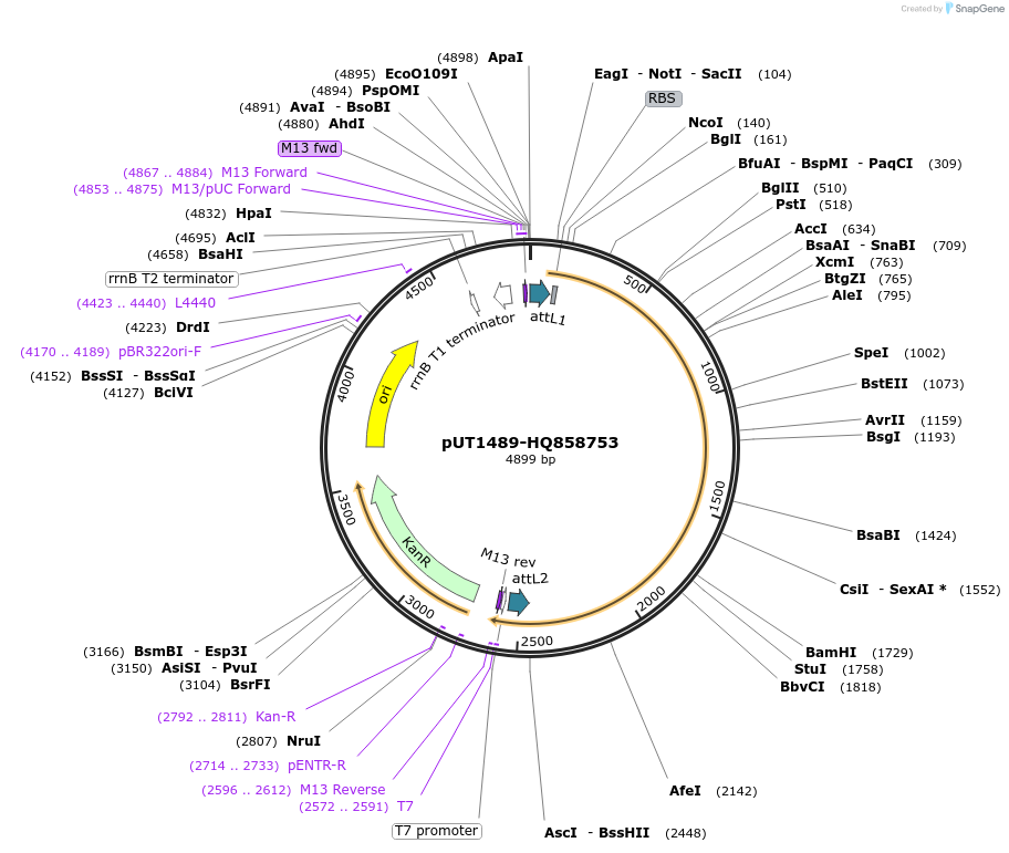 13109_map