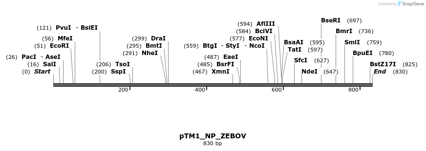 131092_map
