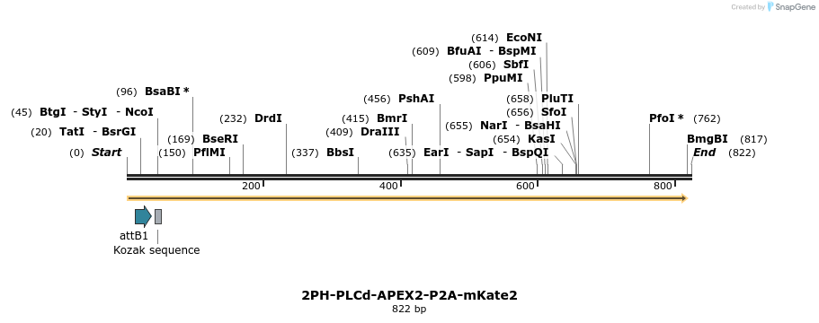 131094_map