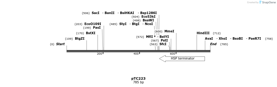 131095_map