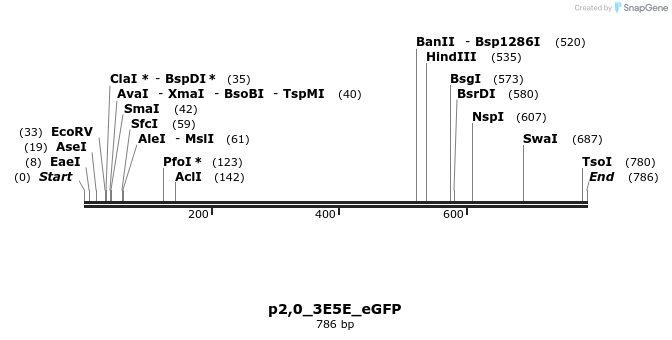 131096_map