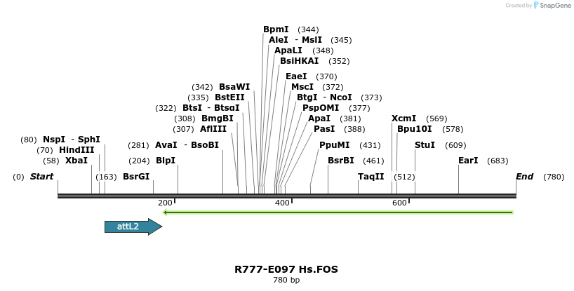 131098_map
