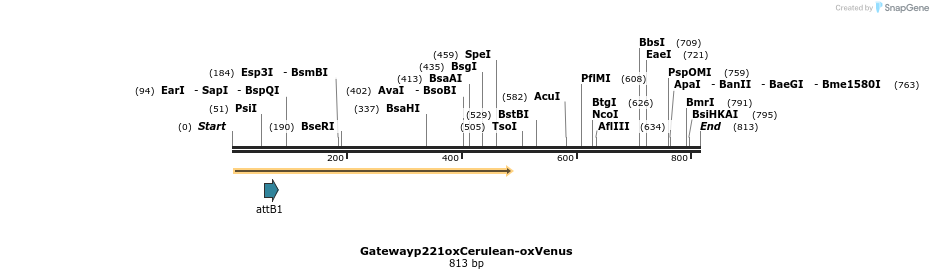131099_map