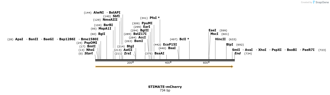 131100_map