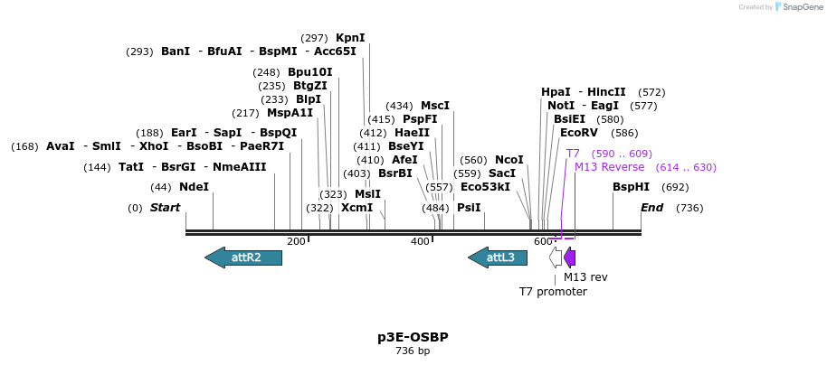 131102_map