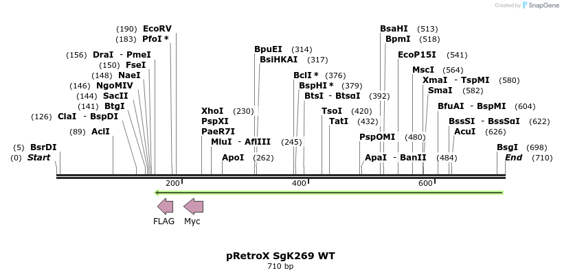 131103_map