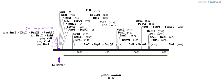 131104_map