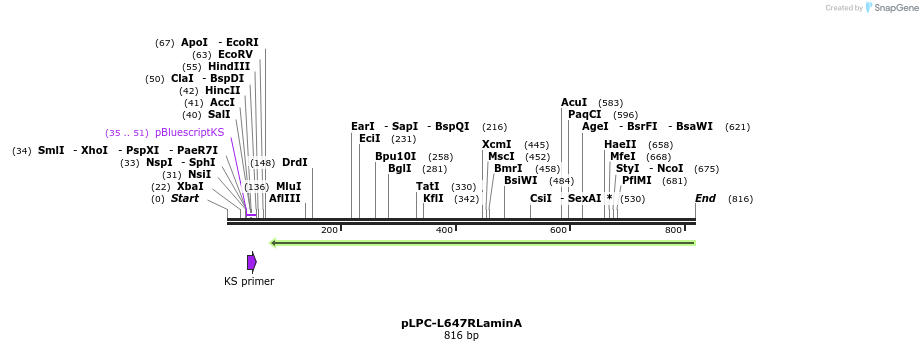 131105_map