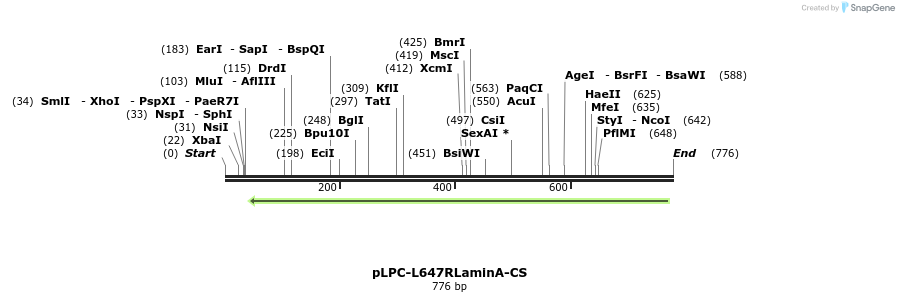 131107_map