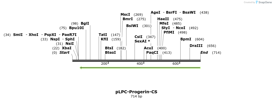 131109_map