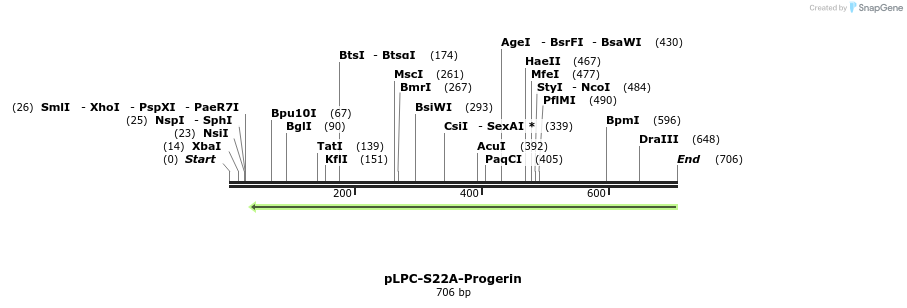 131110_map