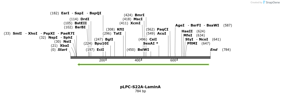 131111_map
