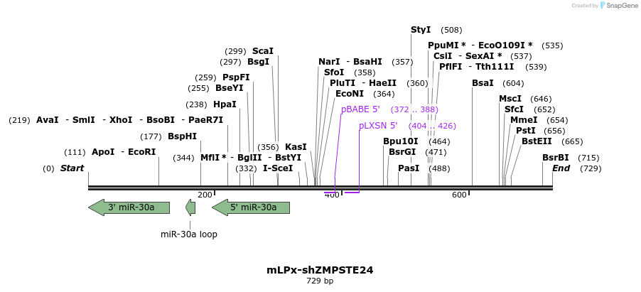 131112_map