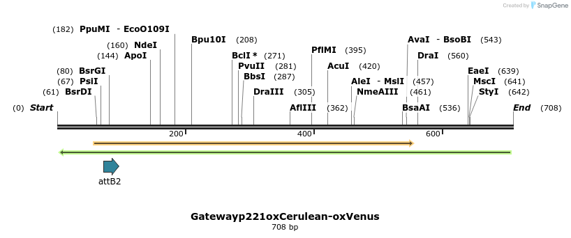 131114_map