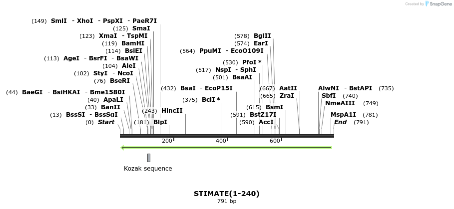 131116_map