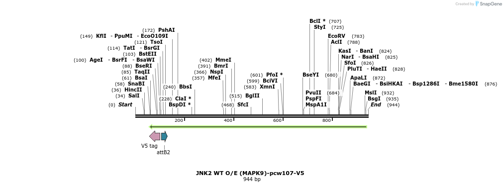 131118_map