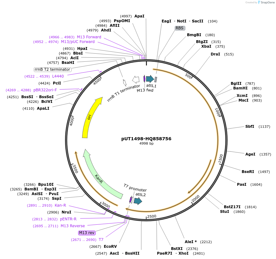 13112_map