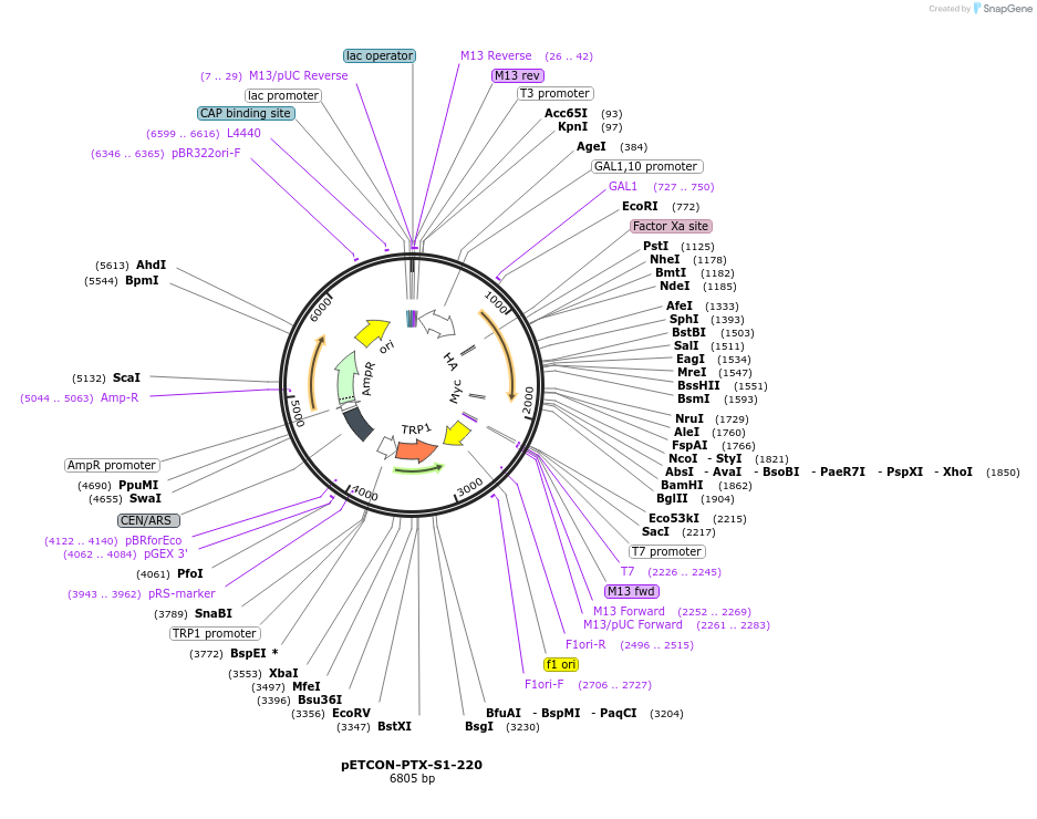 131124_map
