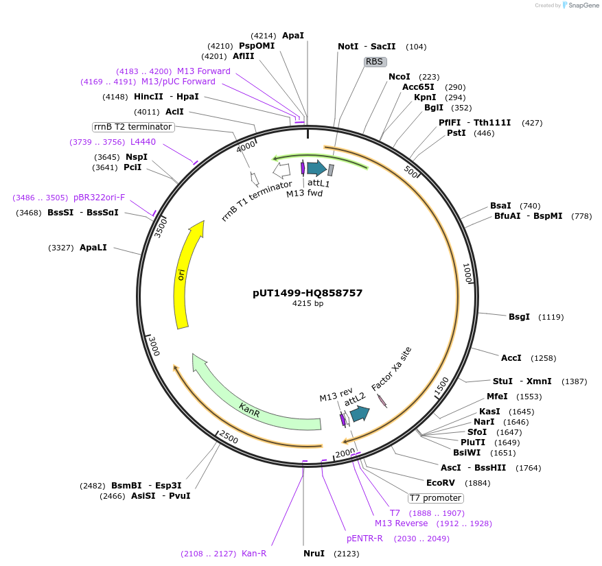 13113_map