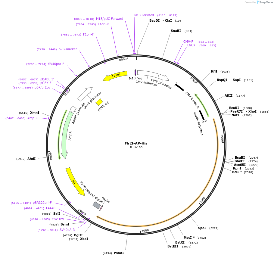 131134_map