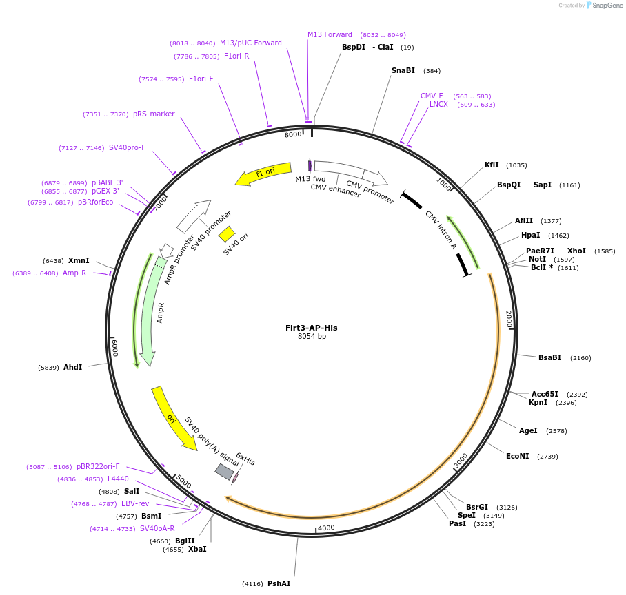131135_map