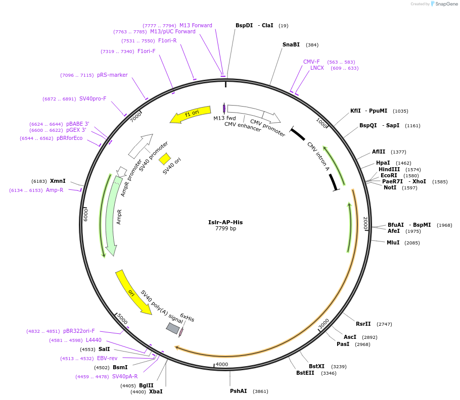 131136_map